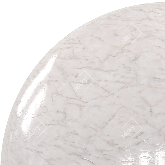 Elegant Light Gray Marble 3D model image 4