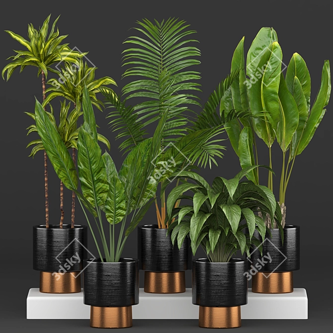 5-Piece Indoor Plant Set 3D model image 2