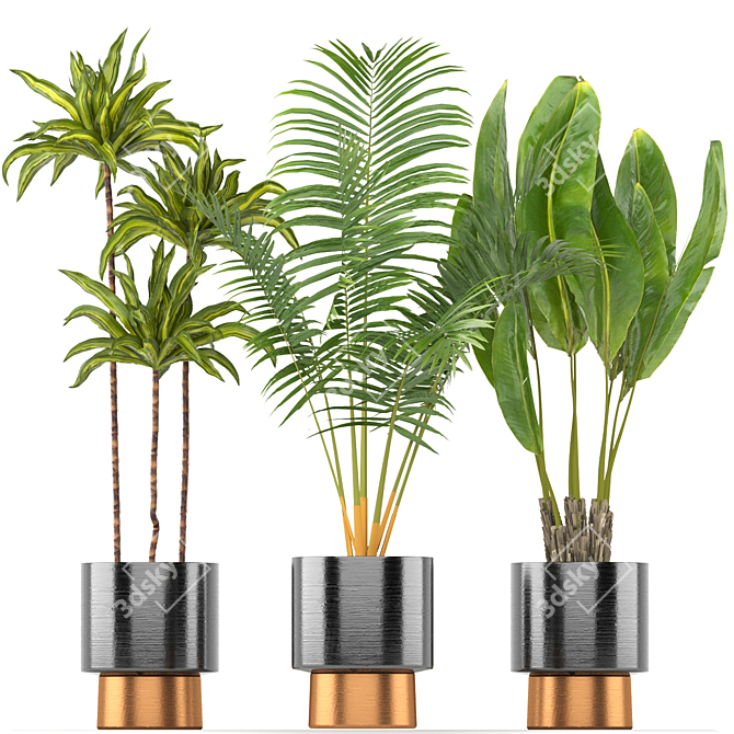 5-Piece Indoor Plant Set 3D model image 3