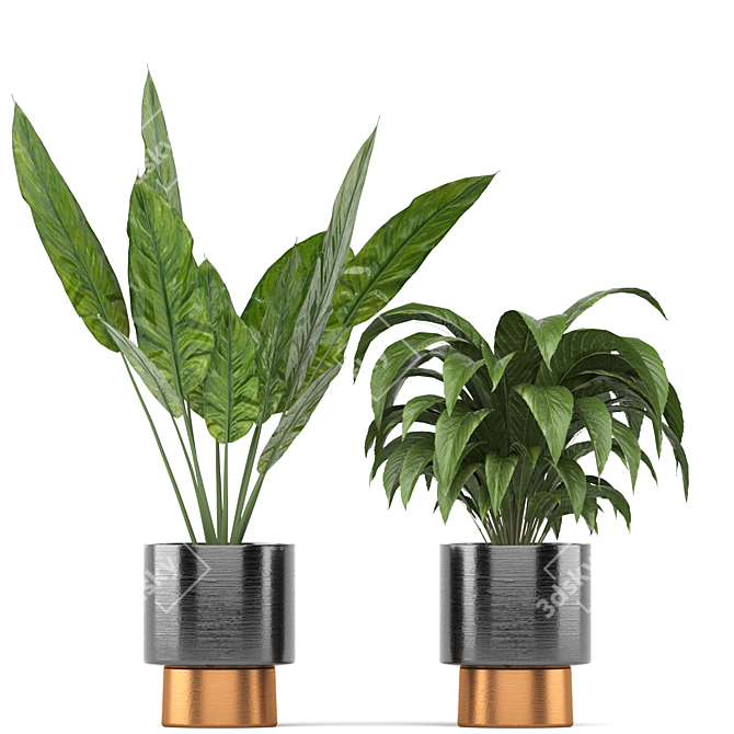 5-Piece Indoor Plant Set 3D model image 4