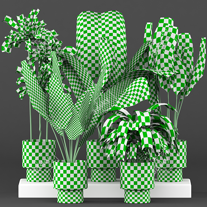 5-Piece Indoor Plant Set 3D model image 6