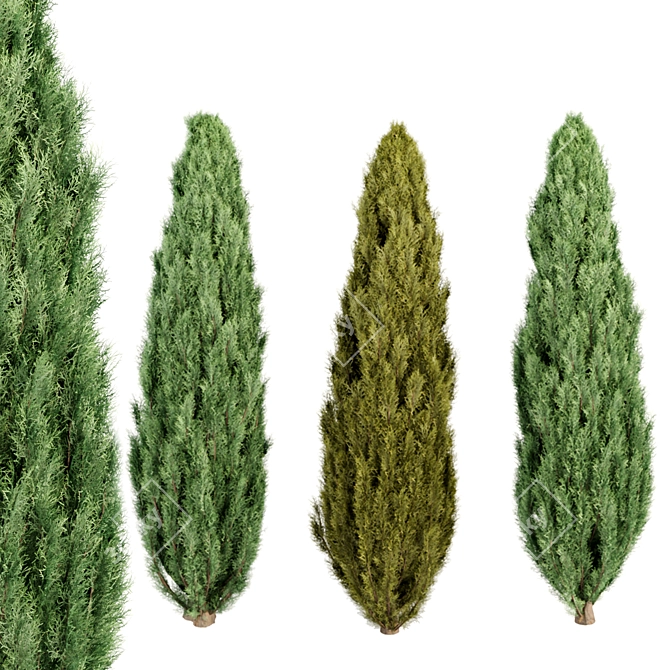 Evergreen Juniper Trees Collection 3D model image 13