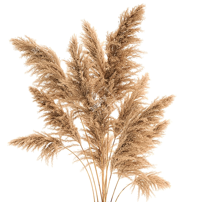 Title: Pampas Reed Bouquet 3D model image 2