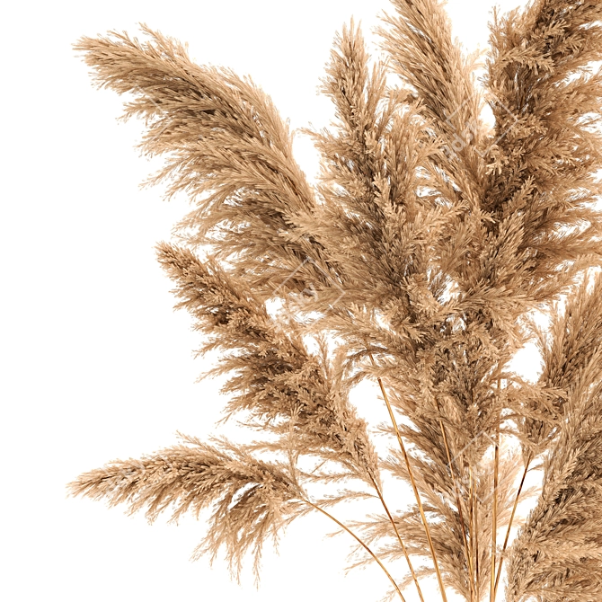 Title: Pampas Reed Bouquet 3D model image 4