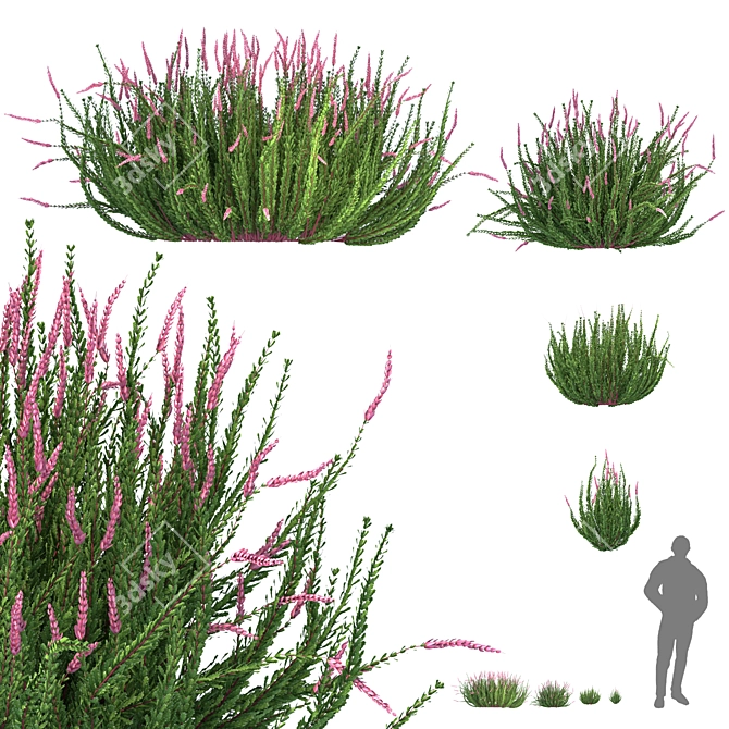 Versatile Outdoor Bush Collection 3D model image 1