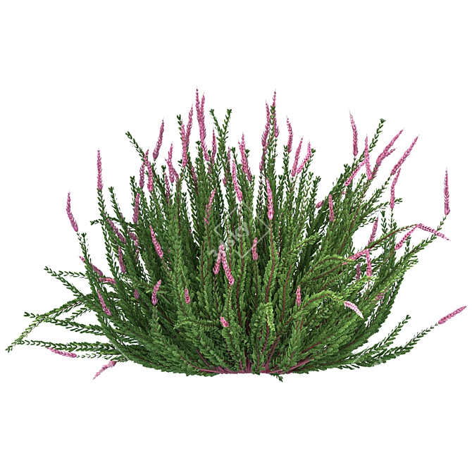 Versatile Outdoor Bush Collection 3D model image 2