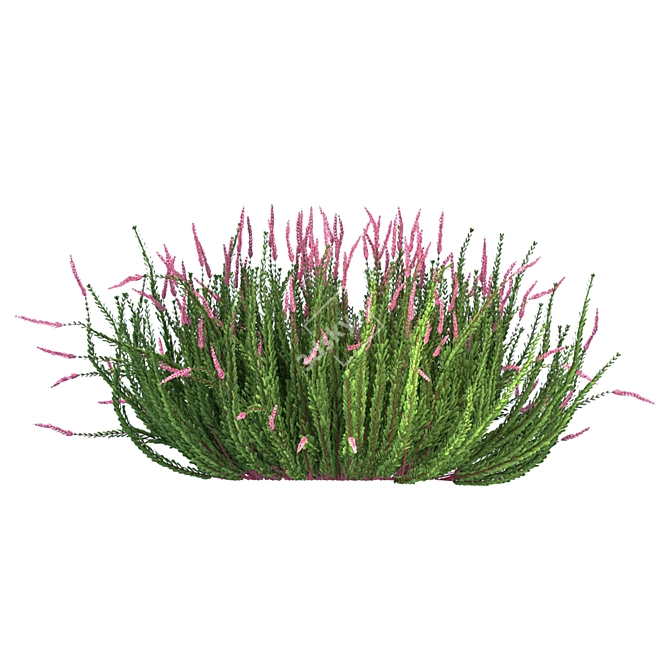 Versatile Outdoor Bush Collection 3D model image 3