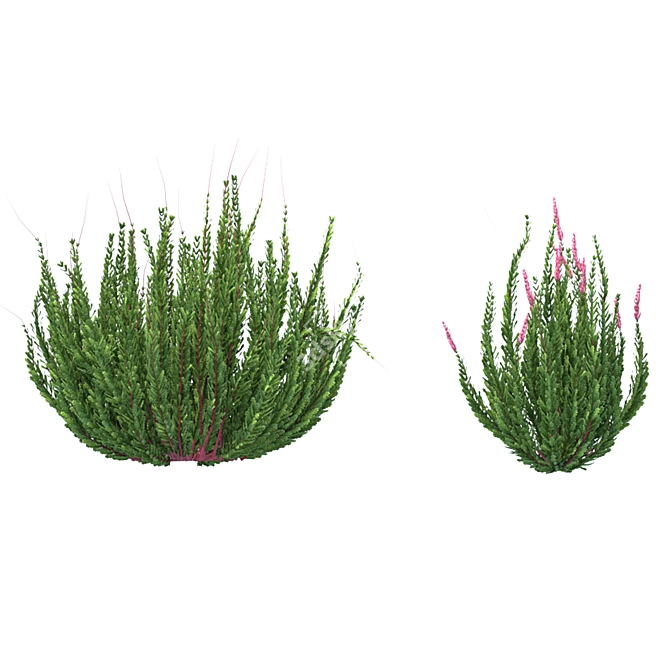 Versatile Outdoor Bush Collection 3D model image 4