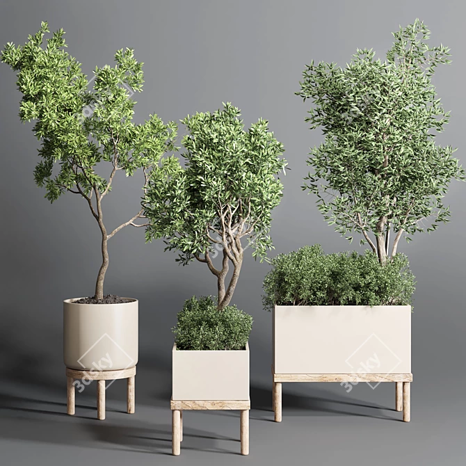 Collection Wood Vase Pot: Indoor Outdoor Plant 3D model image 1