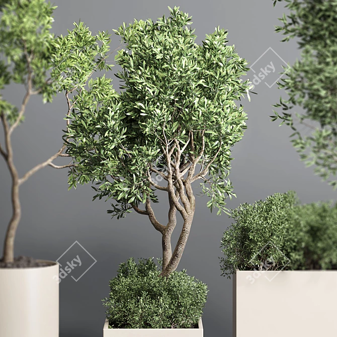 Collection Wood Vase Pot: Indoor Outdoor Plant 3D model image 3