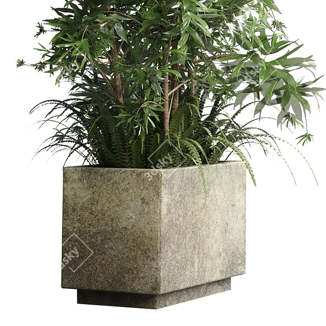 Outdoor Plant Collection: Concrete Vase, Tree Fern, Bamboo 3D model image 5