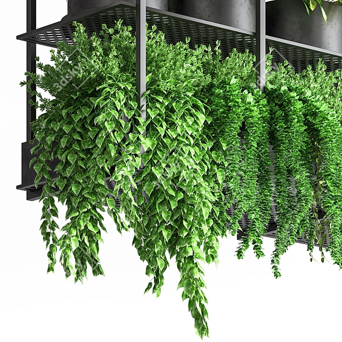 Metal Hanging Indoor Plant Pot Collection 3D model image 4