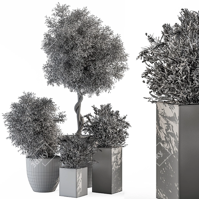 Concrete Pot Outdoor Plant Set 3D model image 3