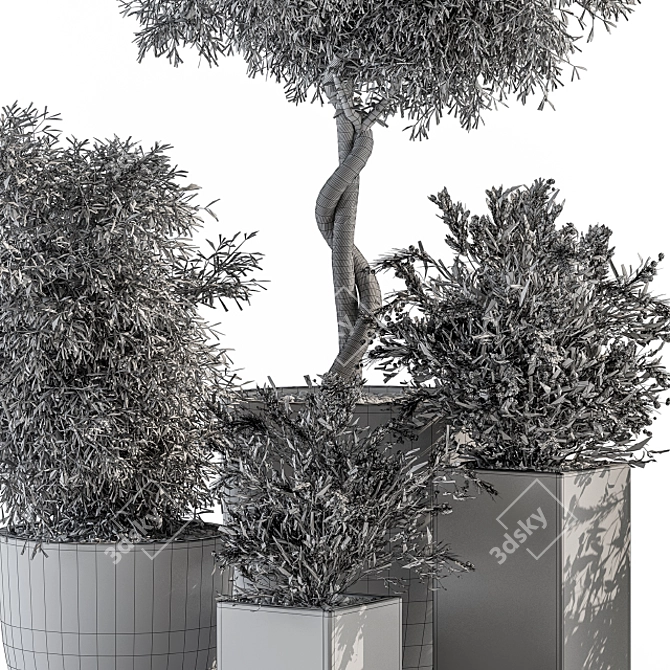 Concrete Pot Outdoor Plant Set 3D model image 4