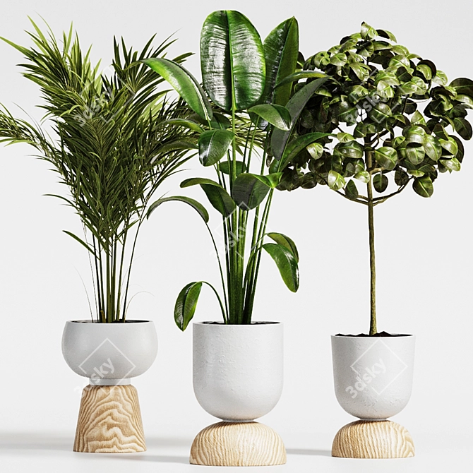 Tropical Plant Collection: Ficus & Palm 3D model image 2