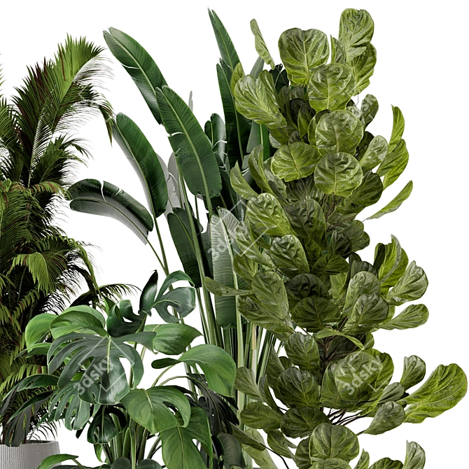 Ferm Living Bau Indoor Plant Set 3D model image 3