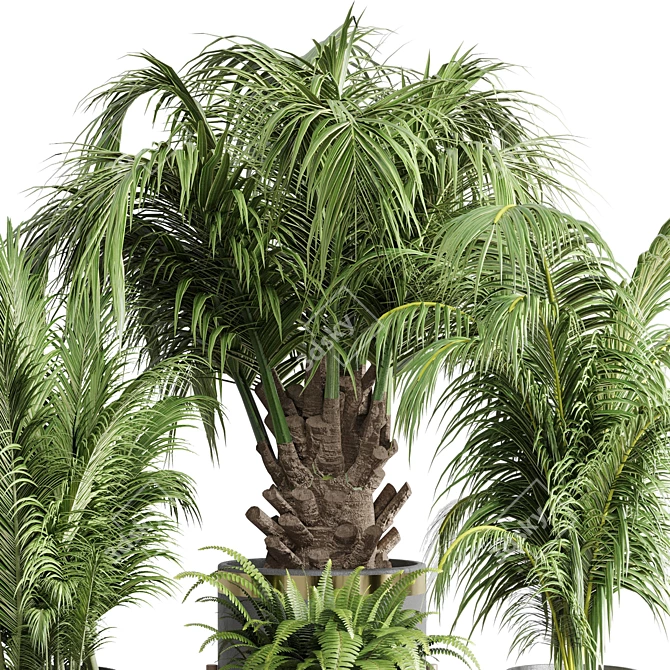 Concrete Vase Palm Fern: Indoor Plant Collection 3D model image 3