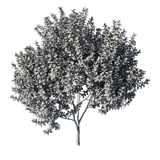 Graceful Michelia Tree: Premium 3D Model 3D model image 3