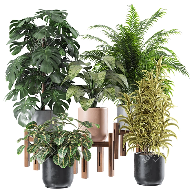 Premium Indoor Plants Set 3D model image 1