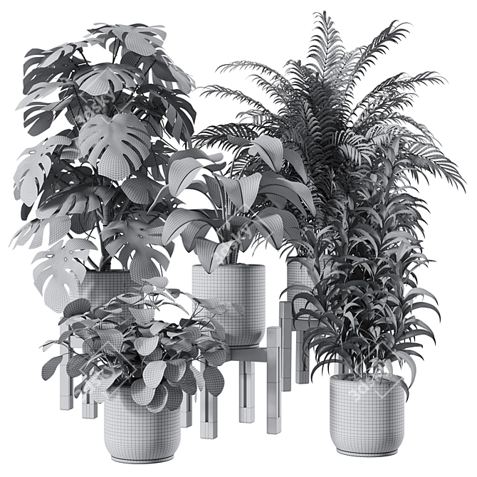 Premium Indoor Plants Set 3D model image 2