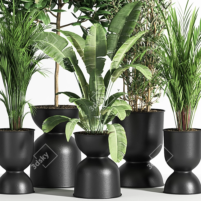 Indoor Plant Set 01Z: Beautiful and Versatile 3D model image 2