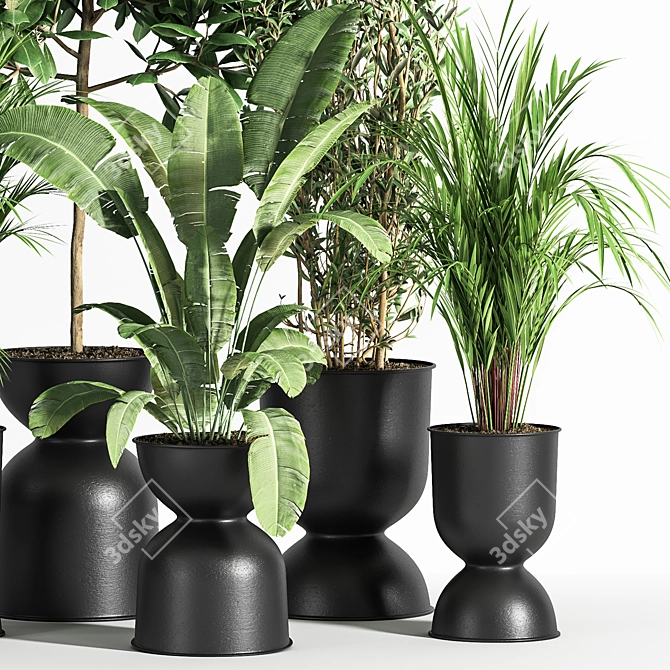 Indoor Plant Set 01Z: Beautiful and Versatile 3D model image 3