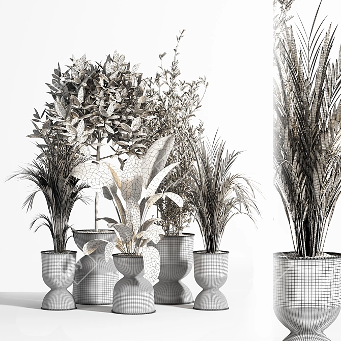 Indoor Plant Set 01Z: Beautiful and Versatile 3D model image 6