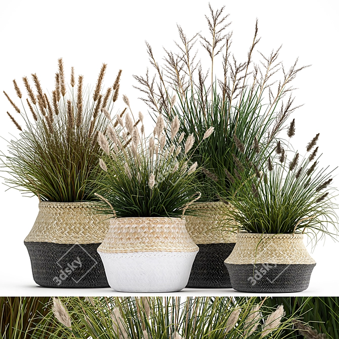 Tropical Plant Collection: Decorative Rattan Baskets & Exotic Indoor Plants 3D model image 1