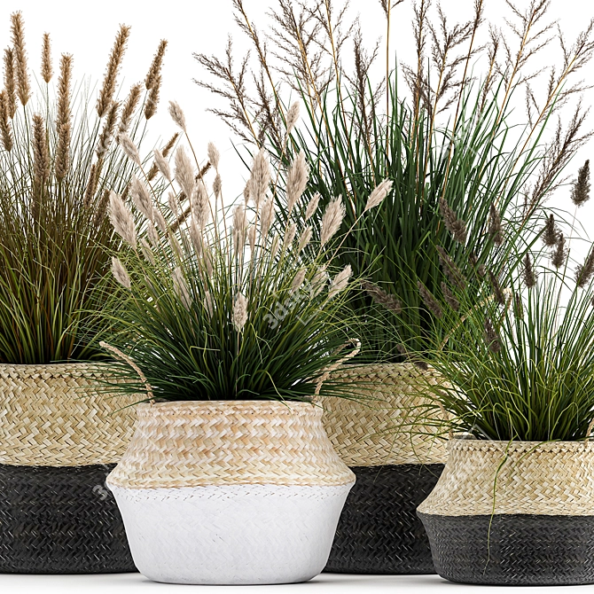 Tropical Plant Collection: Decorative Rattan Baskets & Exotic Indoor Plants 3D model image 2