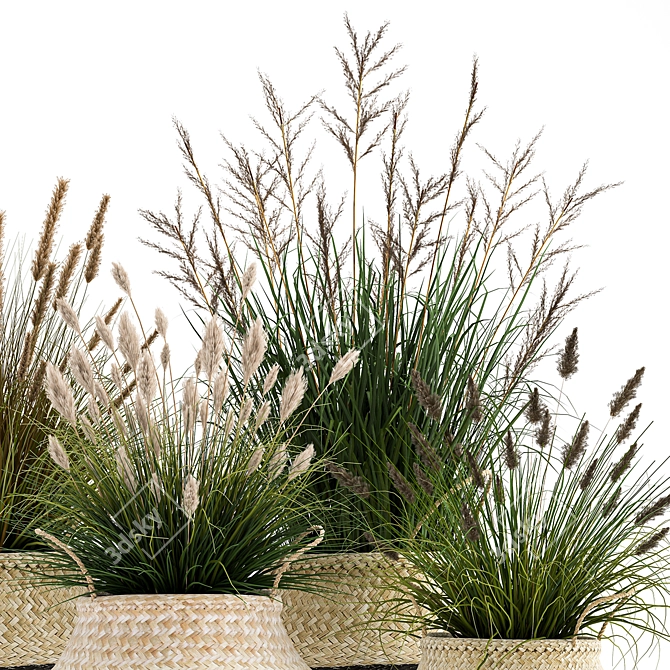 Tropical Plant Collection: Decorative Rattan Baskets & Exotic Indoor Plants 3D model image 3