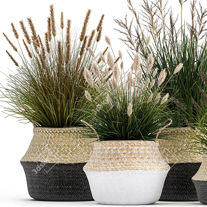 Tropical Plant Collection: Decorative Rattan Baskets & Exotic Indoor Plants 3D model image 4