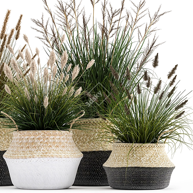 Tropical Plant Collection: Decorative Rattan Baskets & Exotic Indoor Plants 3D model image 5