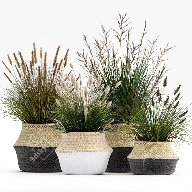 Tropical Plant Collection: Decorative Rattan Baskets & Exotic Indoor Plants 3D model image 6