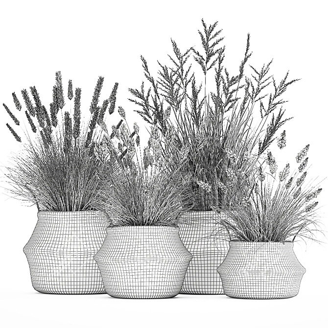 Tropical Plant Collection: Decorative Rattan Baskets & Exotic Indoor Plants 3D model image 7