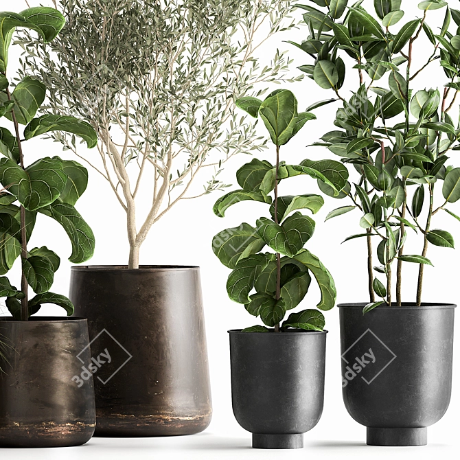 Exotic Plant Collection in Rustic Pots 3D model image 4