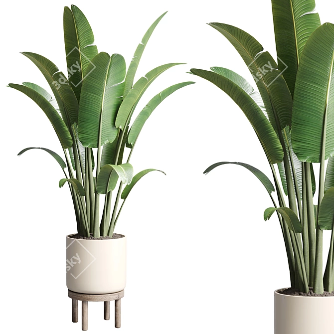 Ravenala Vase: Indoor/Outdoor Plant Pot 3D model image 1