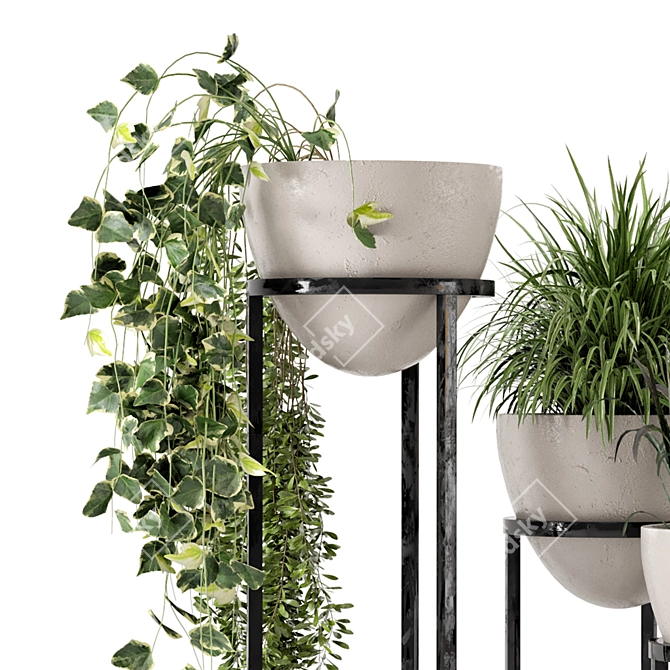  Rusty Concrete Indoor Plant Set 3D model image 4