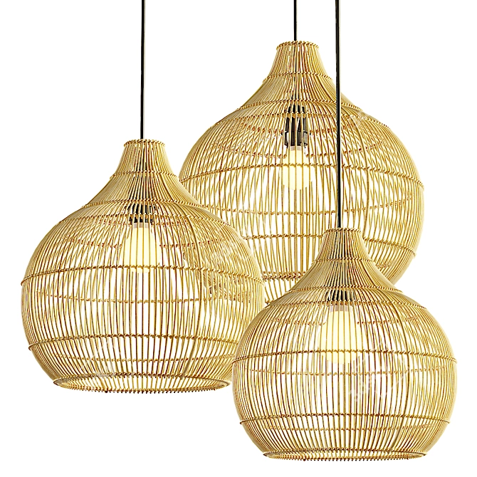 Modern Rattan Chandelier - Aliexpress 3D model image 1