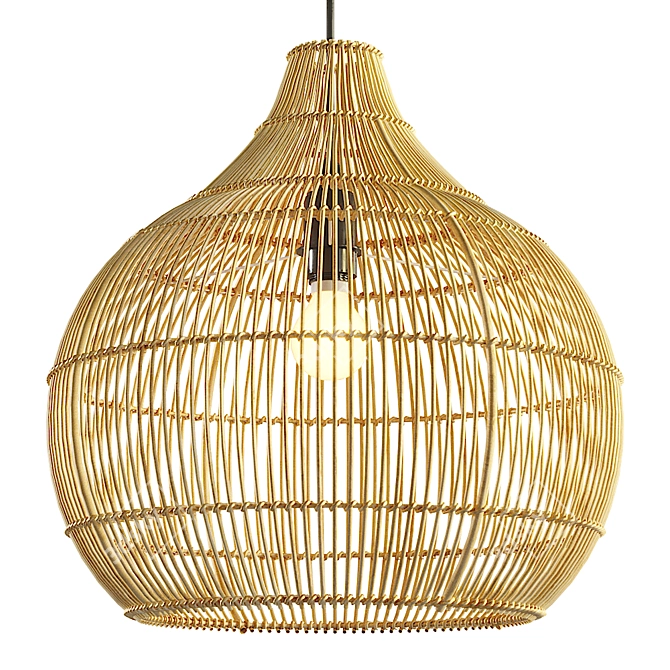 Modern Rattan Chandelier - Aliexpress 3D model image 3