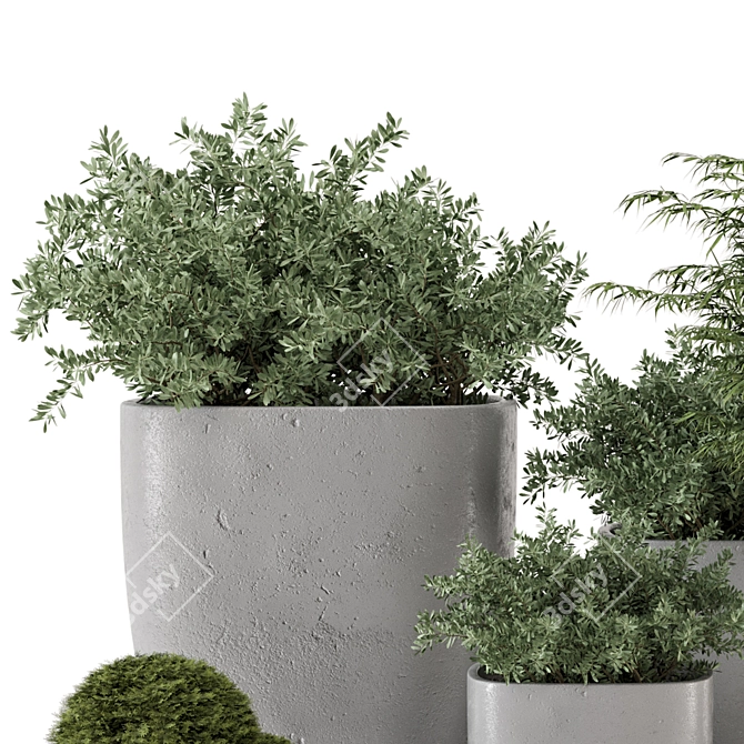 Rusty Concrete Pot Outdoor Bush Set 3D model image 4