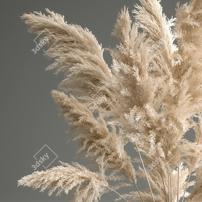 Elegant White Pampas Grass Bouquet 3D model image 2