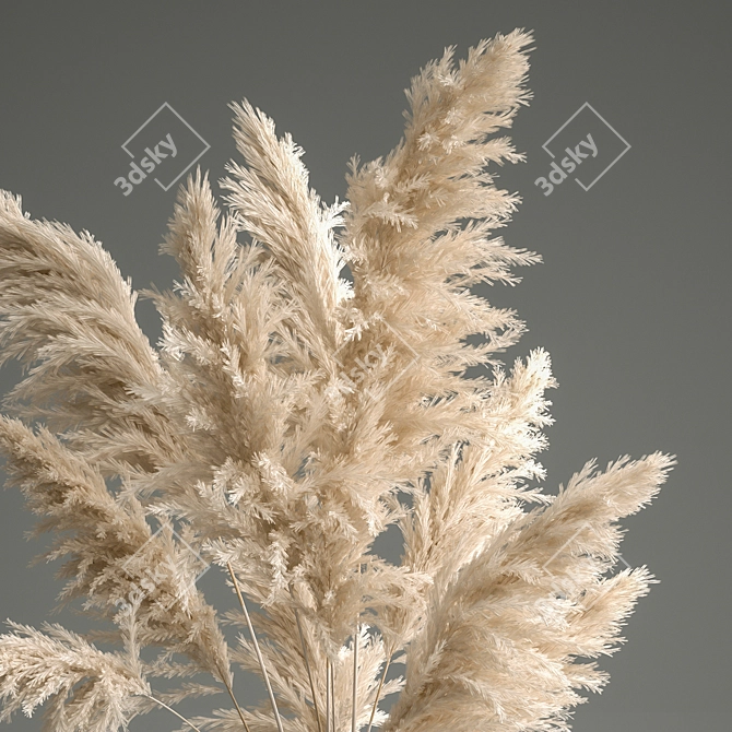 Elegant White Pampas Grass Bouquet 3D model image 4