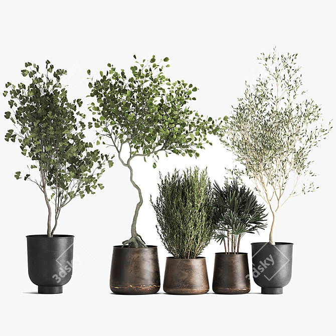 Metallic Pot Plant Collection 3D model image 6