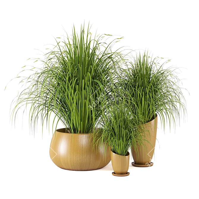 Assorted Indoor Plants Set 3D model image 2