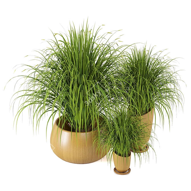 Assorted Indoor Plants Set 3D model image 4