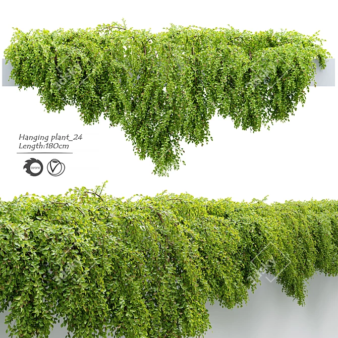 24-Inch Hanging Plant: Lengthy, Vibrant, and Versatile 3D model image 1