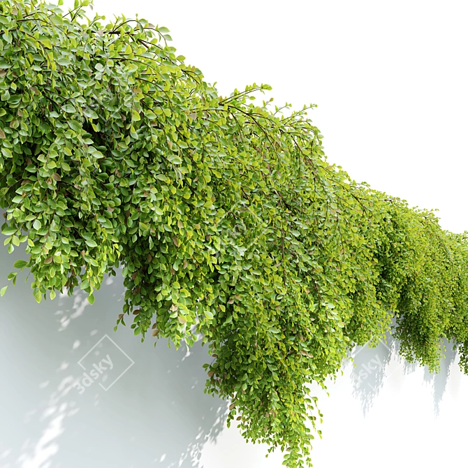 24-Inch Hanging Plant: Lengthy, Vibrant, and Versatile 3D model image 2