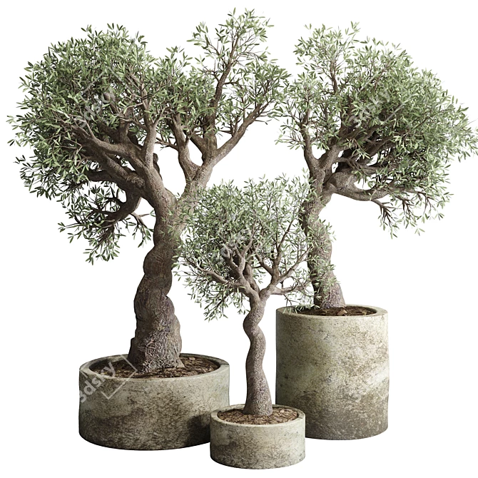 Vintage Concrete Vase: Outdoor Tree Pot 3D model image 1