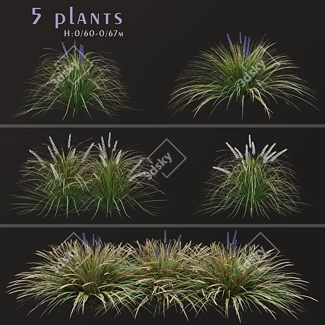 Title: Lush Set of Dwarf Lilyturf Plants 3D model image 2