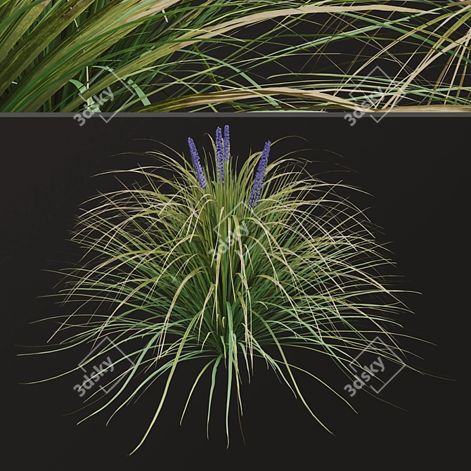 Title: Lush Set of Dwarf Lilyturf Plants 3D model image 3